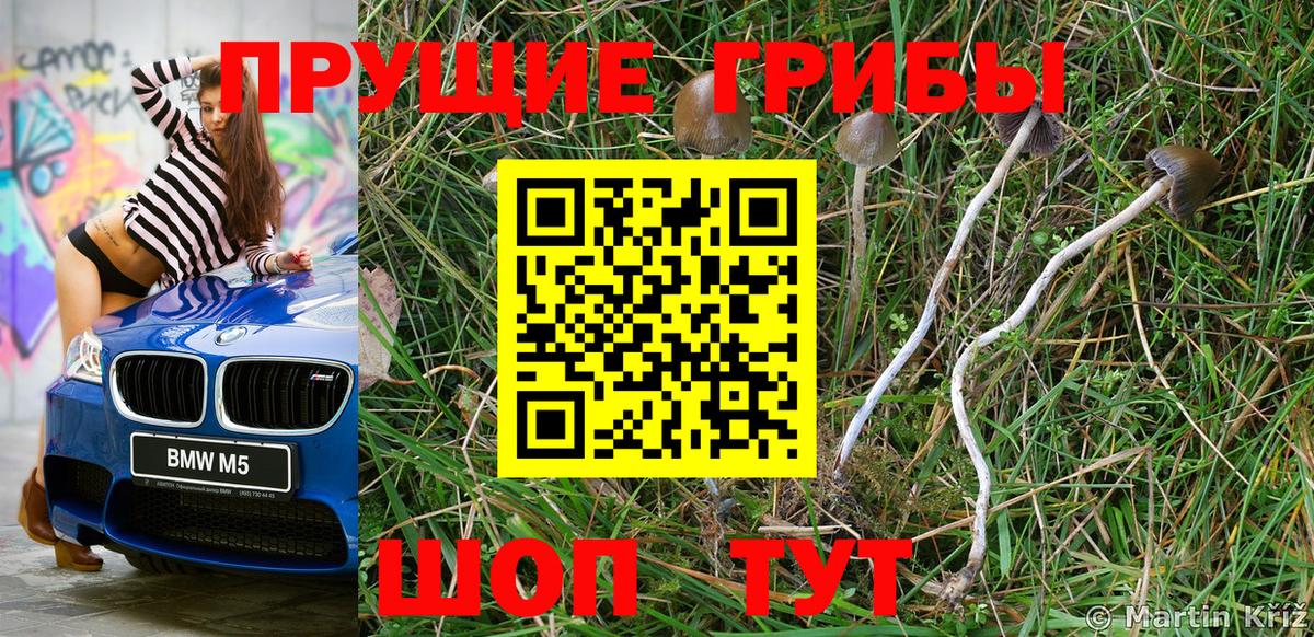 Галлюциногенные грибы мухоморы Ханты-Мансийск
